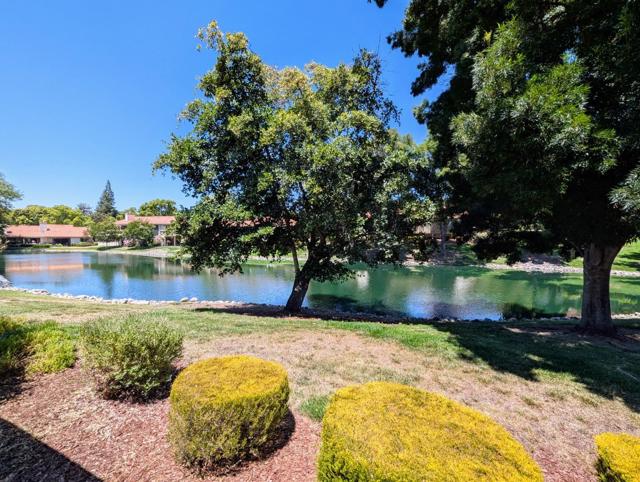 8442 Chenin Blanc Lane, San Jose CA: https://media.crmls.org/mediaz/35b80b8f-c4bf-4e50-a260-724b2456ad3e.jpg