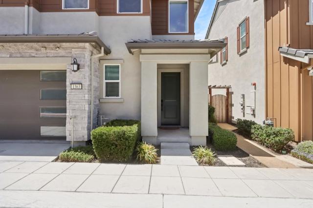 1363 S Shields Avenue, Mountain House CA: https://media.crmls.org/mediaz/35c2dbc6-7798-4a65-9d9d-1f959c0e1bed.jpg