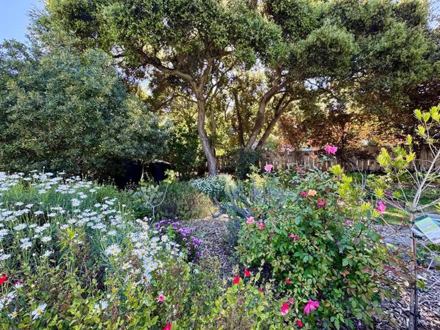 42 Upper Circle, Carmel Valley CA: https://media.crmls.org/mediaz/35c41d91-4f09-4c61-8360-9955a4d21034.jpg