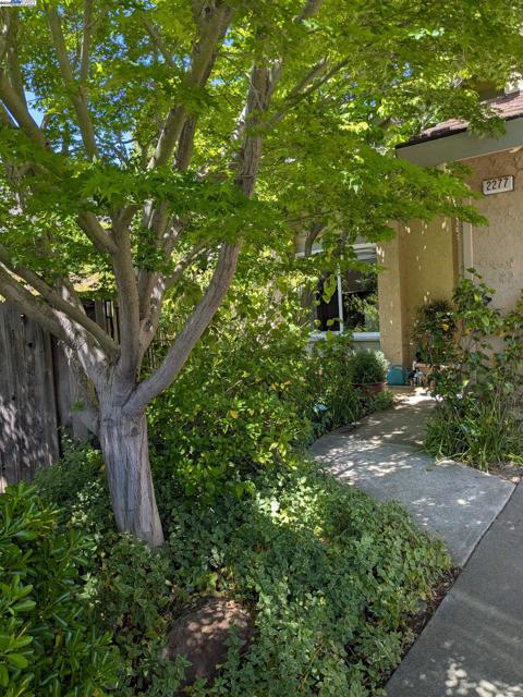 2277 Stillcreek Ct, Martinez CA: https://media.crmls.org/mediaz/35c8088e-d2a5-42ff-8351-cc507ca9bf08.jpg