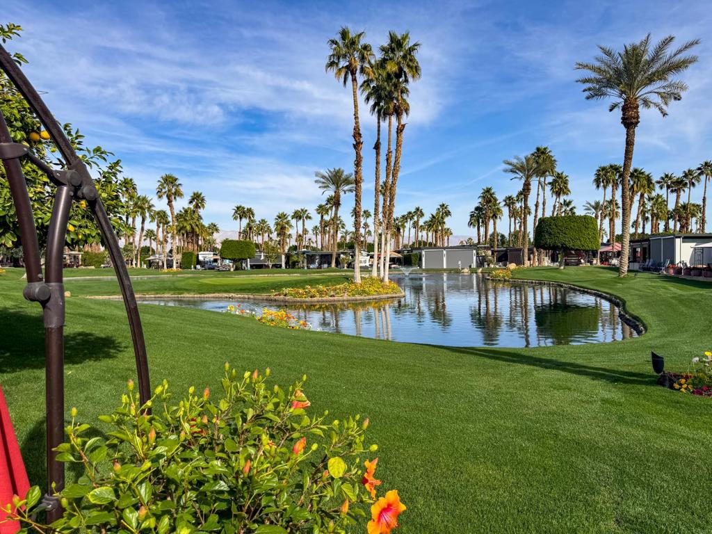 MLS #219138397DA image #21