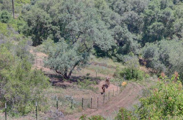 0 Camino Estribo, Temecula CA: https://media.crmls.org/mediaz/35cdc1a5-aa03-45ff-9e87-ad00e8d84cef.jpg