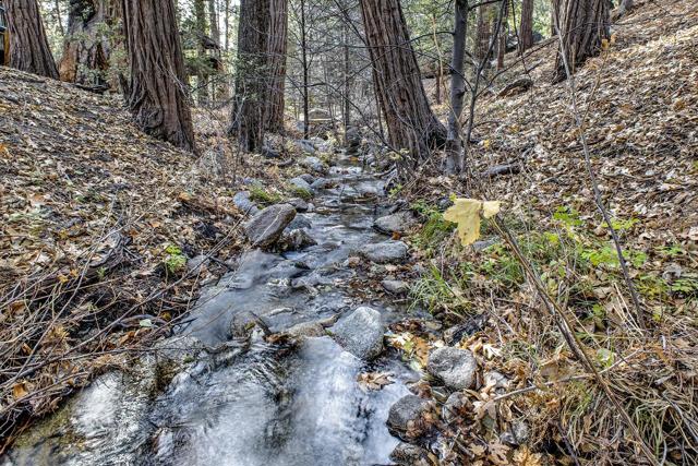 55283 Pine Crest, Idyllwild CA: https://media.crmls.org/mediaz/35d70cb2-c0cf-43d2-bf29-18dc3d9ff196.jpg