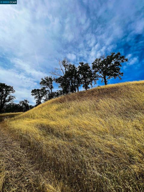 0 Lot 22 Rolling Oaks, Cottonwood CA: https://media.crmls.org/mediaz/35da844e-fa8c-454f-b82f-de4718086faf.jpg