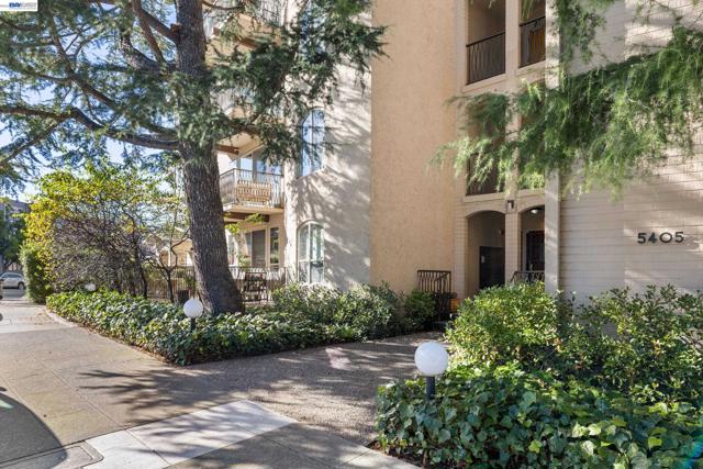 5405 Carlton St, Oakland CA: https://media.crmls.org/mediaz/35efd983-c9c3-4df0-89f0-56f829715750.jpg