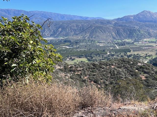 0 Pauma Heights Rd, Valley Center CA: https://media.crmls.org/mediaz/35f6746e-3f94-4592-9957-1dd19dea4534.jpg