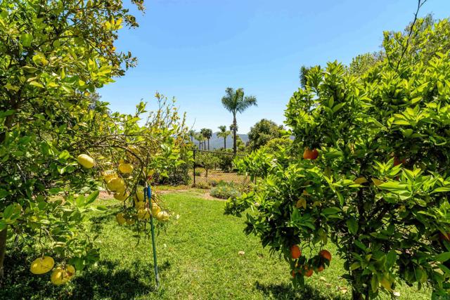 341 Pico De La Loma, Escondido CA: https://media.crmls.org/mediaz/35f68643-7441-4166-8d64-3b215791a975.jpg