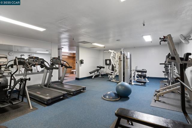 555 Pierce St, Albany CA: https://media.crmls.org/mediaz/35fe56f9-46ce-415f-8cf0-bd29c08fc266.jpg