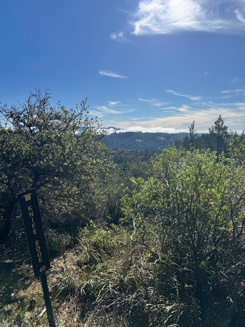 https://media.crmls.org/mediaz/35ff998c-3d46-4e77-b3fb-c9cae1ff0cd6.jpg?preset=X-Large