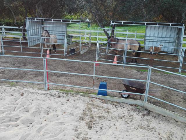 Detail Gallery Image 45 of 54 For 2092 Tudor Ln, Fallbrook,  CA 92028 - 4 Beds | 3/1 Baths