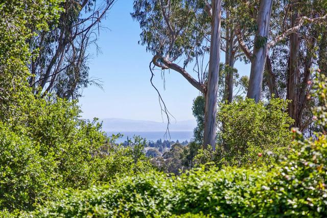 3696 Tiffani Court, Santa Cruz CA: https://media.crmls.org/mediaz/360b8a25-60ee-48b9-a25d-08cb63b7930e.jpg