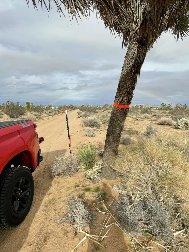 MLS #219145913DA image #16