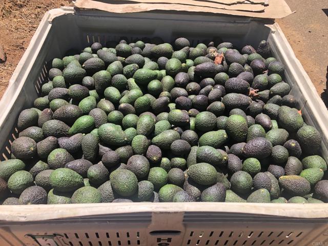 Image 71 of 75 For 3137 Valley Parkway