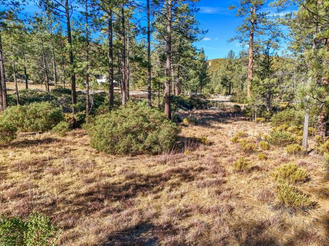 1 Pipe Creek Road, Mountain Center CA: https://media.crmls.org/mediaz/36215dd3-345c-4906-8604-6fa96b60ae77.jpg