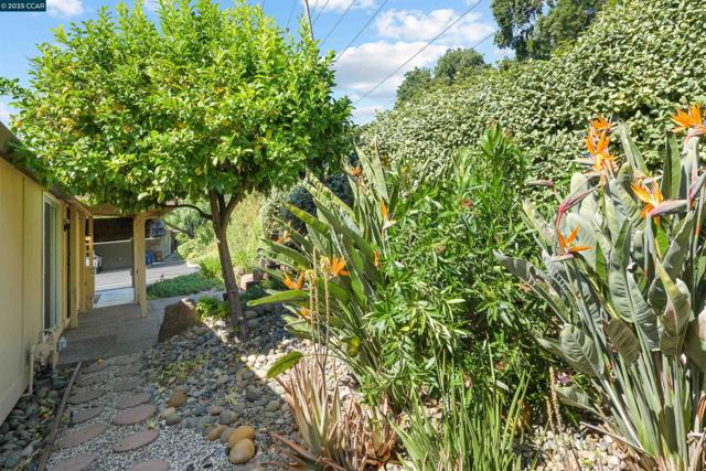 1201 Monument Blvd, Concord CA: https://media.crmls.org/mediaz/362f9d4d-195e-459f-9e6f-7b321dcaab76.jpg