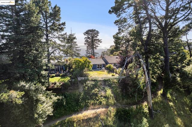 6824 Wilton Dr, Oakland CA: https://media.crmls.org/mediaz/363694ca-d119-4a19-8ebf-fcdc1fca3a10.jpg