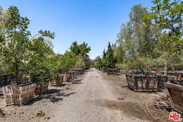 1048 E La Loma Avenue, Somis CA: https://media.crmls.org/mediaz/363901ba-1d35-4812-81ff-218ecc6208c4.jpg