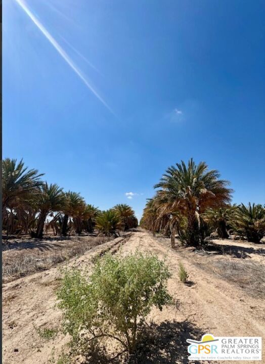 0 Noffsinger, Niland CA: https://media.crmls.org/mediaz/363a6a02-671e-4886-9858-88216b17931d.jpg