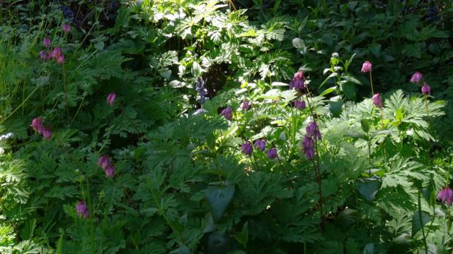 MLS #ML82014848 image #33