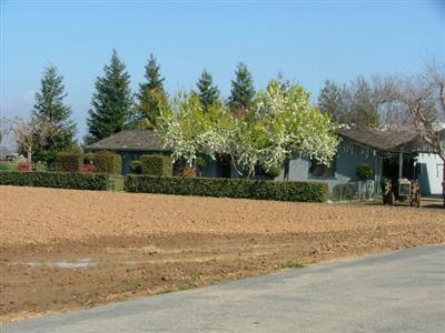 4588 N McCall, Sanger CA: https://media.crmls.org/mediaz/36470f49-1299-4b8a-87cf-cf107d08fe0b.jpg