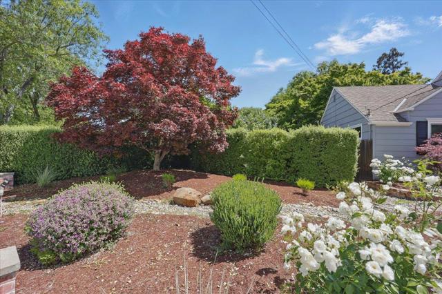 1633 Dallas Court, Los Altos CA: https://media.crmls.org/mediaz/365ccec2-59f4-4e40-a44d-3b4d34f32a9a.jpg