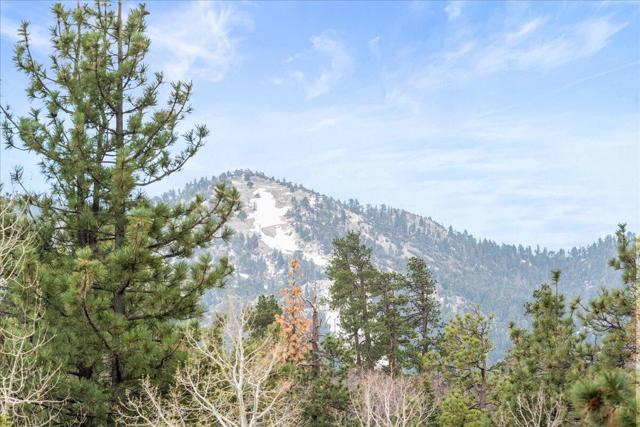 719 Villa Grove Avenue, Big Bear CA: https://media.crmls.org/mediaz/366af78e-5609-429a-bb93-d04295b88de6.jpg