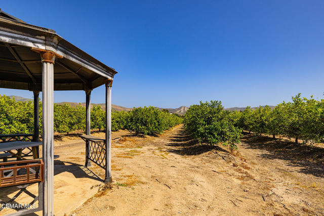 13721 Telegraph Road, Santa Paula CA: https://media.crmls.org/mediaz/366baee0-b050-418f-8080-737a5a13be20.jpg