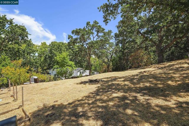 71 Maple Ln, Walnut Creek CA: https://media.crmls.org/mediaz/366dbaac-054b-4871-940f-4853b33b7980.jpg