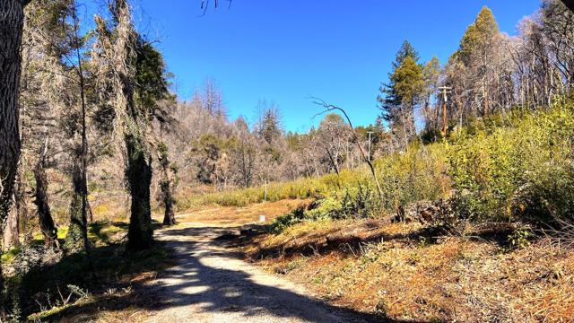 11035 Empire Grade, Santa Cruz CA: https://media.crmls.org/mediaz/36726f06-6fdb-442d-8c7d-81cb660fe6da.jpg