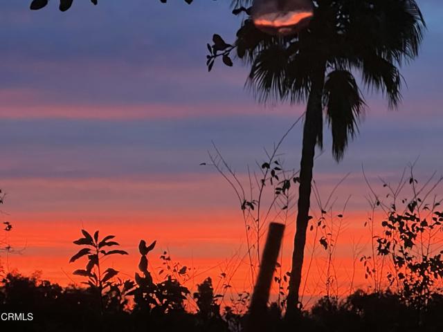 2880 Holliston Avenue, Altadena CA: https://media.crmls.org/mediaz/36775ac6-e973-4a66-bb9d-6909756216a3.jpg