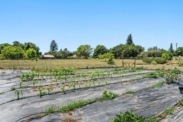 261 Wheelock Road, Watsonville CA: https://media.crmls.org/mediaz/367d38ba-60b3-435d-beca-8dc943577b9f.jpg