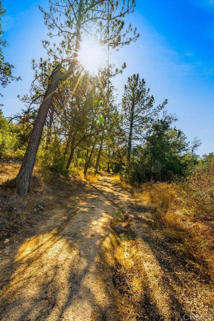 Detail Gallery Image 19 of 40 For 120 Ac Vacant Land Mesa Grande Rd, Santa Ysabel,  CA 92070 - – Beds | – Baths
