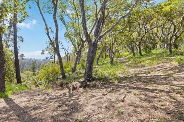 280 Petery Lane, Aptos CA: https://media.crmls.org/mediaz/3688fcba-cddf-4278-b5bc-1629c7d77b3a.jpg