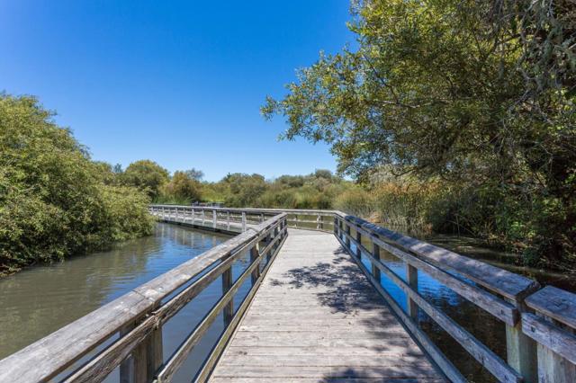 102 Tree Frog Lane, Santa Cruz CA: https://media.crmls.org/mediaz/36a6c025-e5c9-443e-9623-434496a0165a.jpg