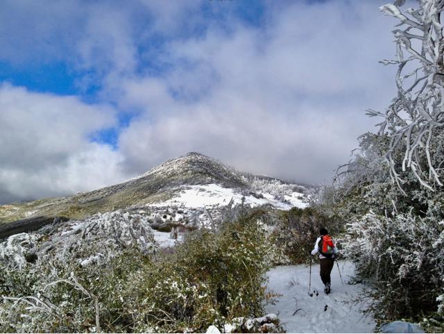 0 Highway 79, Julian CA: https://media.crmls.org/mediaz/36ac97b0-3d14-4266-b447-5d7ce5ffec92.jpg
