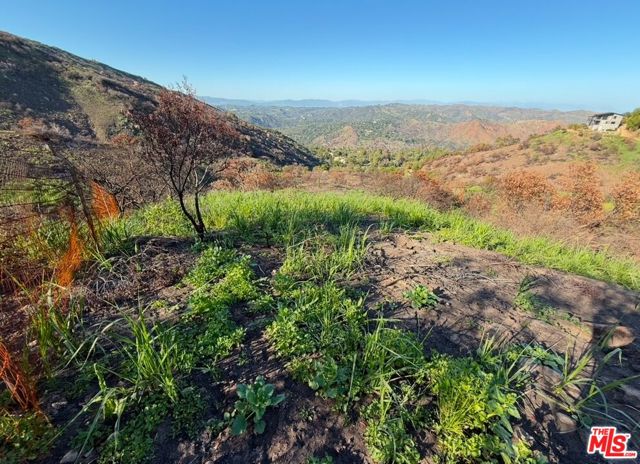 0 Fir Ridge Drive, Topanga CA: https://media.crmls.org/mediaz/36b038ee-8642-4437-b100-839e65c8e421.jpg