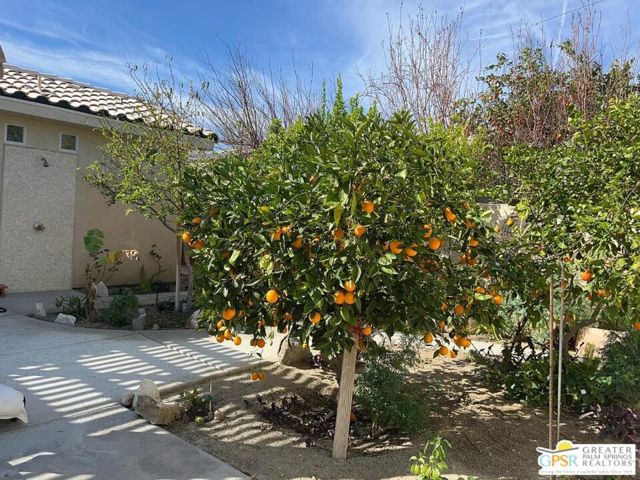 3116 E Via Escuela, Palm Springs CA: https://media.crmls.org/mediaz/36b27e67-6e42-438b-91f7-0f39d27c6689.jpg