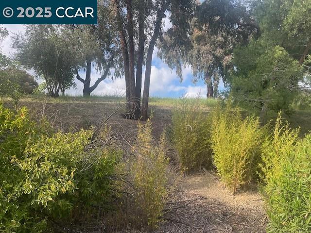 628 Saint George Road, Danville CA: https://media.crmls.org/mediaz/36b59980-7c72-4751-8581-64f66296e2dc.jpg