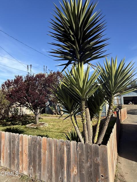 Detail Gallery Image 18 of 25 For 1361 E Oak St, Fort Bragg,  CA 95437 - 2 Beds | 2 Baths