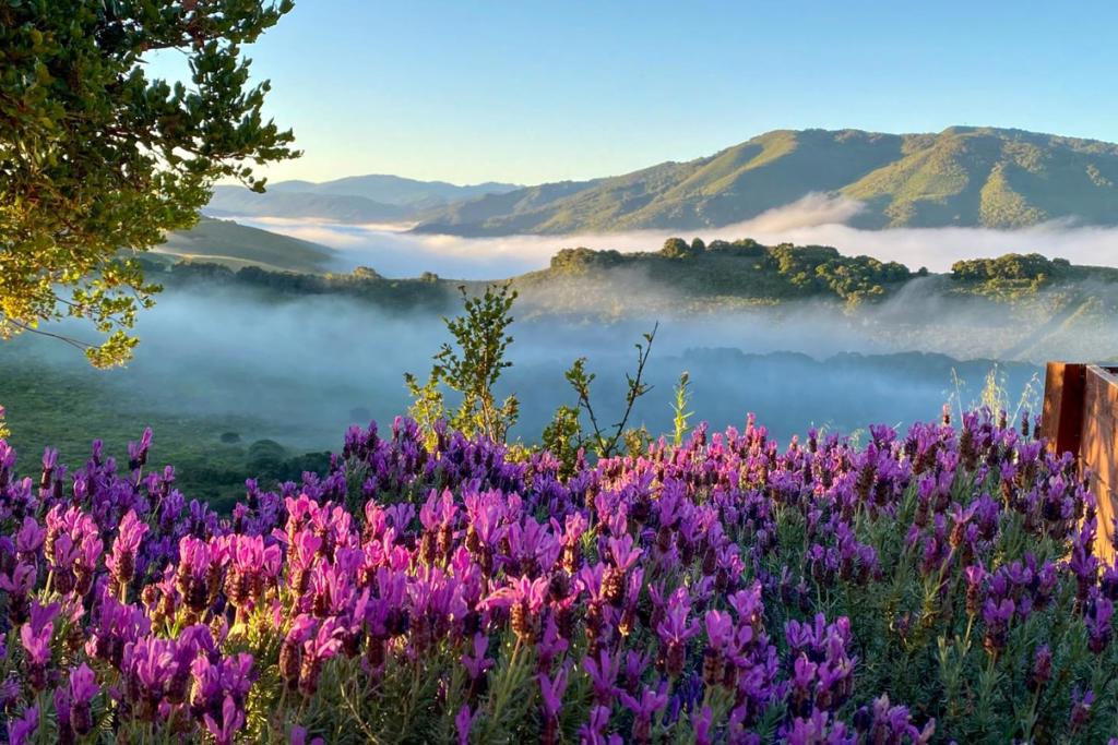 https://media.crmls.org/mediaz/36ca7f46-c0d2-4855-bb69-fb11076e3012.jpg?preset=X-Large