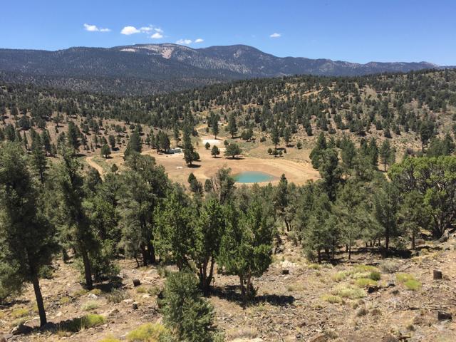 550 Eagle Ridge, Big Bear CA: https://media.crmls.org/mediaz/36d2cd6f-9bf4-47dc-add3-9270ee97eeb0.jpg