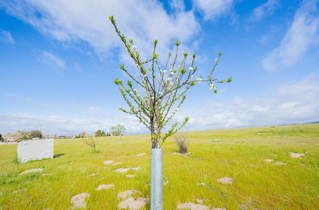 50255 Adobe Place, Bradley CA: https://media.crmls.org/mediaz/36d4b5d8-11fc-4f62-83cf-124bc8f26c75.jpg