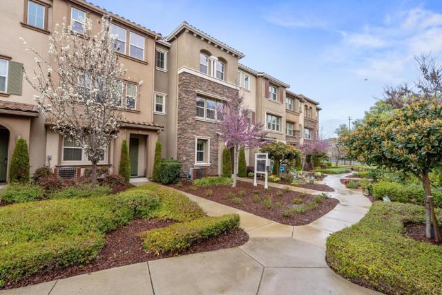 30 Cumin Lane, Morgan Hill CA: https://media.crmls.org/mediaz/36d67859-7456-468d-ae39-755d136f8438.jpg
