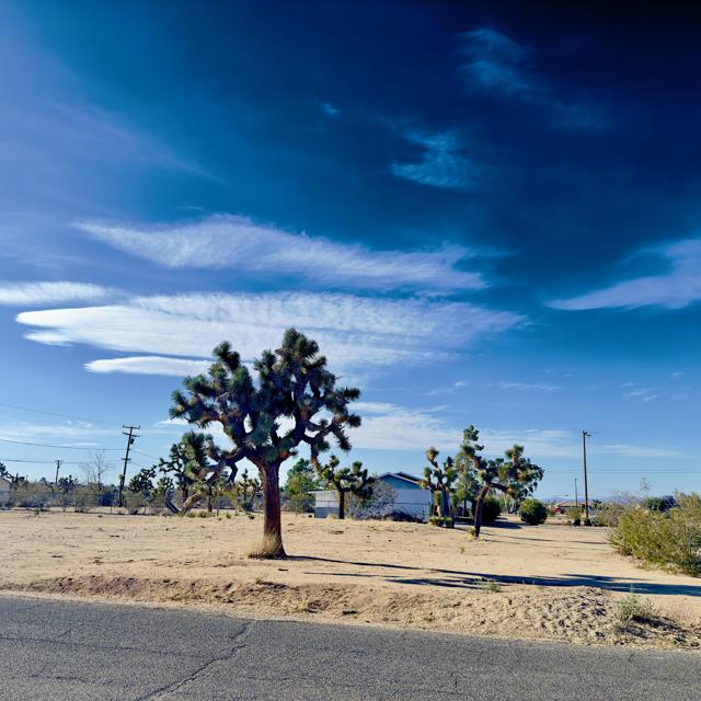 57752 Pimlico Street, Yucca Valley CA: https://media.crmls.org/mediaz/36da85da-dea0-4483-b8ee-46b3a88a920b.jpg