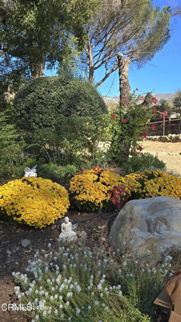 Detail Gallery Image 27 of 58 For 1450 Mcandrew Rd, Ojai,  CA 93023 - 4 Beds | 2 Baths