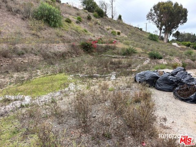 949 Las Lomas Avenue photo 22