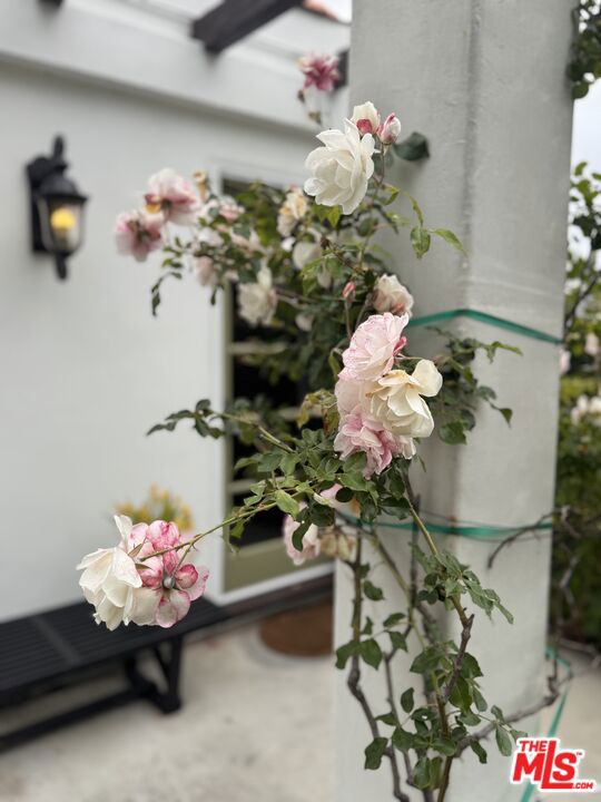 921 S Spaulding Avenue, Los Angeles CA: https://media.crmls.org/mediaz/36e7bbac-4971-4653-a136-0e9a57204004.jpg