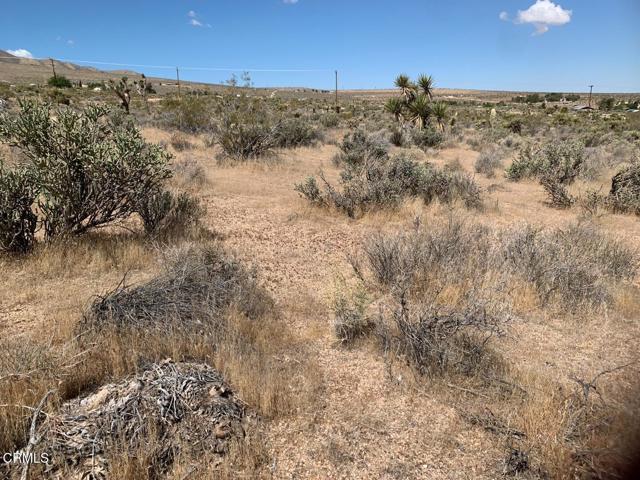Detail Gallery Image 5 of 9 For 0 Mountain View Rd, Lucerne Valley,  CA 92356 - – Beds | – Baths