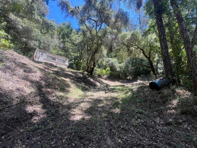 0 Deer Creek (Lot 21), Boulder Creek CA: https://media.crmls.org/mediaz/36f0ae80-61c1-446c-91e3-69700f9ca8ff.jpg