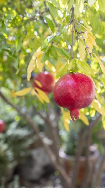 Detail Gallery Image 39 of 58 For 35109 Hwy 79 #91,  Warner Springs,  CA 92086 - 2 Beds | 2 Baths